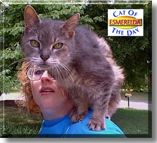 Esmerelda, the Cat of the Day