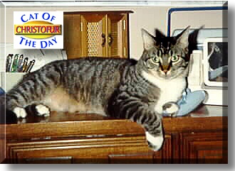 Christofur, the Cat of the Day