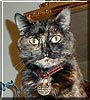 Cleocatra