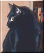 Lilith