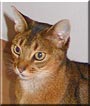 Filou