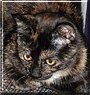 Tina