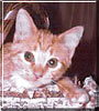 Molly