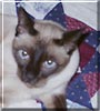 Peanut