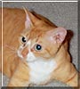 Quigley