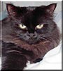 Titou