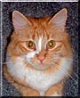 Abner