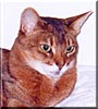 Maggie
