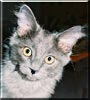 Oliver