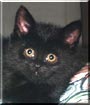 Rupert