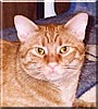 George