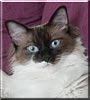 Oliver