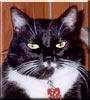 Clyde