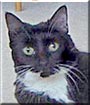 Lena
