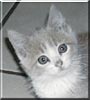 Lucy