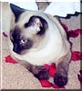 Bijoux