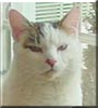 Jasper