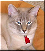 Frankie