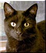 Percy