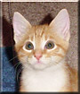Buster
