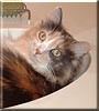 Fiona