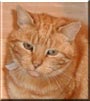 Tigger