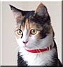 Maggie