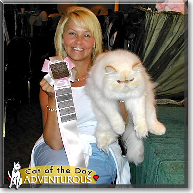 Adventurous, the Cat of the Day