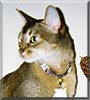 Oliver