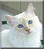Smudge