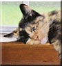 Lizzie
