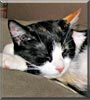 Jinxy