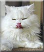 Omar