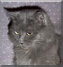 Smudge