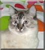 Tia