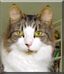 Sigmund