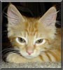 Tigger