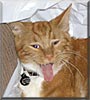 Mittens