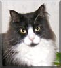 Tux