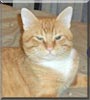 Tigger