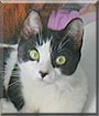 Katie