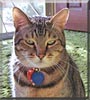 Baxter