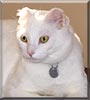 Ben
