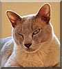Oscar