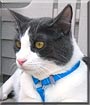 Linus