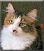 Chloey