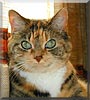 Pippi