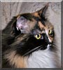 Rosie