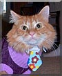 Weasley