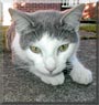 Bruce Lee